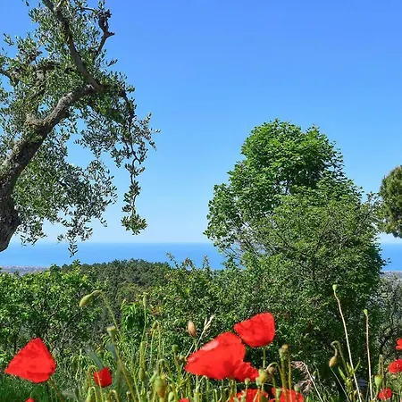 2 Bedroom Stunning In Camaiore